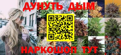 гидра Жуковский