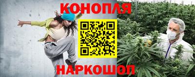 тгк Заводоуковск