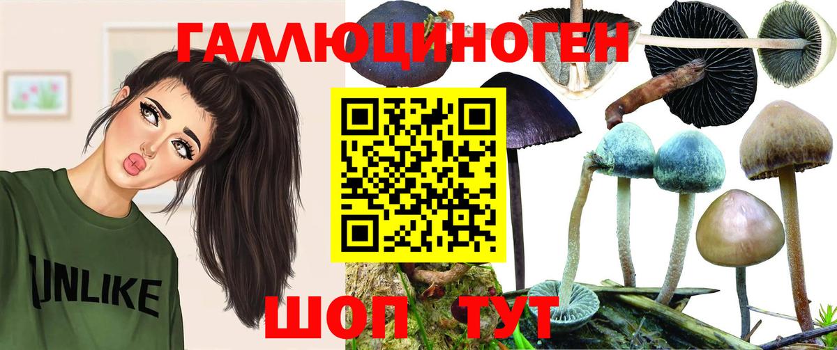 Будённовск  где купить наркотик  Вход с VPN  Псилоцибиновые грибы Psilocybe 