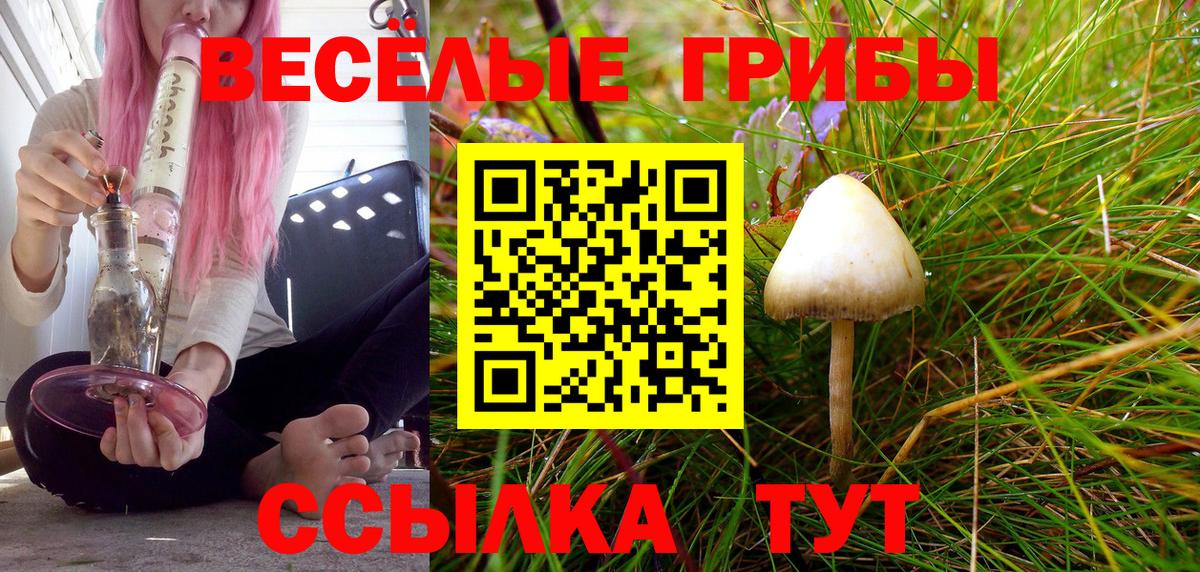 Псилоцибиновые грибы мицелий Будённовск